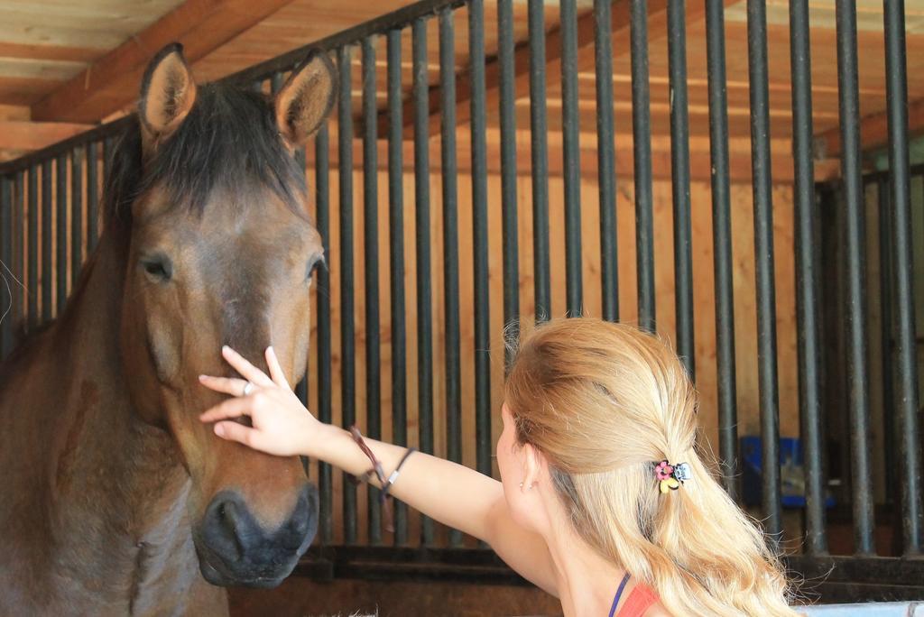 Stajnia Sarnowek Nad Jeziorem Rozany Rozajny Wielkie エクステリア 写真