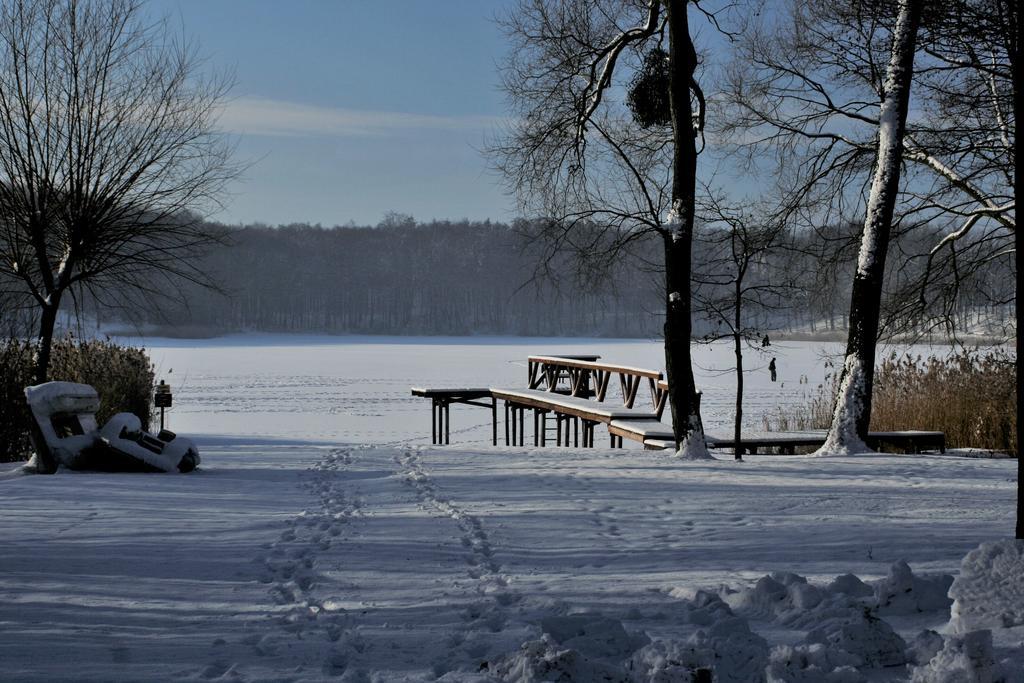 Stajnia Sarnowek Nad Jeziorem Rozany Rozajny Wielkie エクステリア 写真