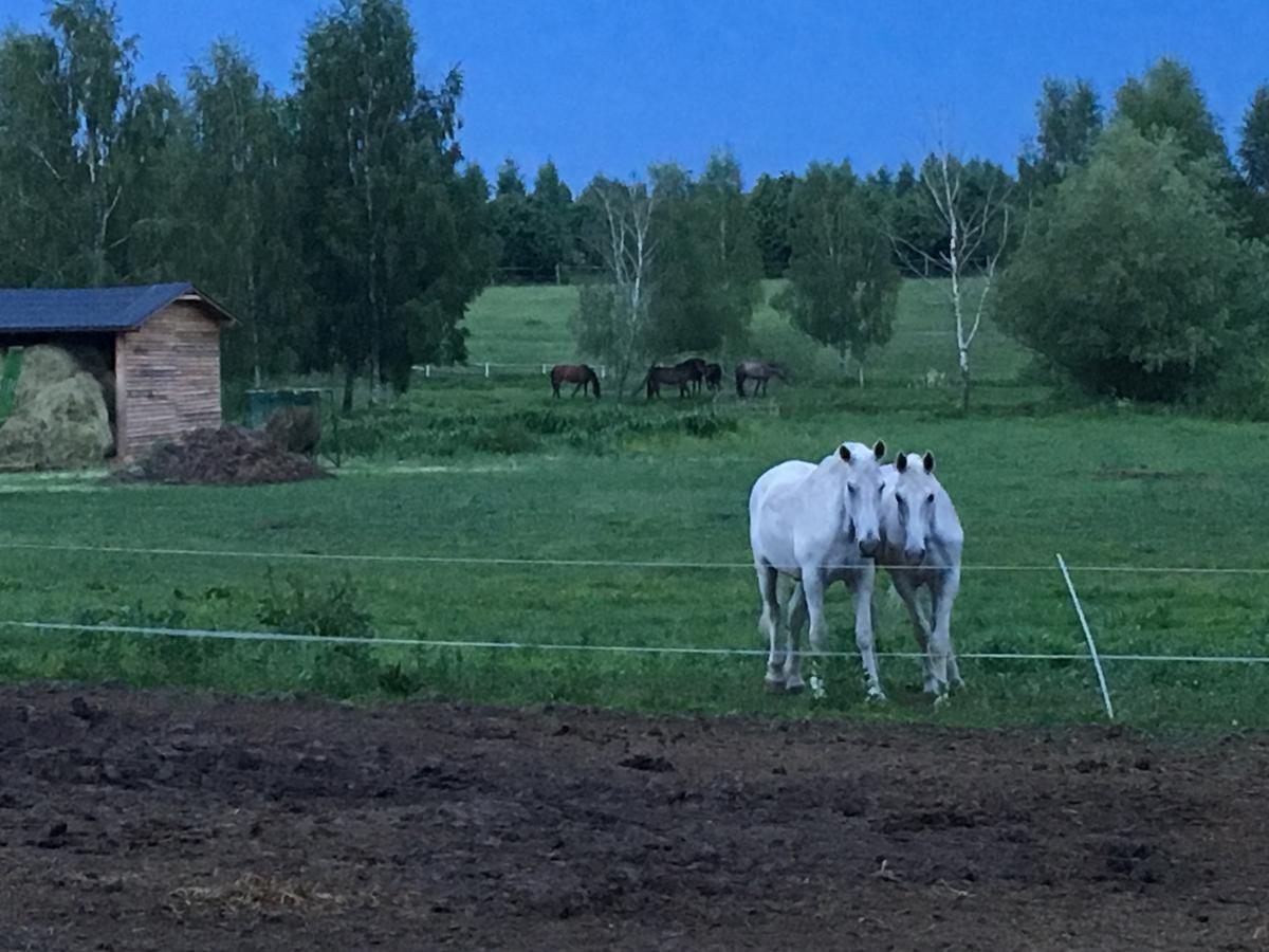 Rozajny Wielkie Stajnia Sarnowek Nad Jeziorem Rozany Bed & Breakfast エクステリア 写真