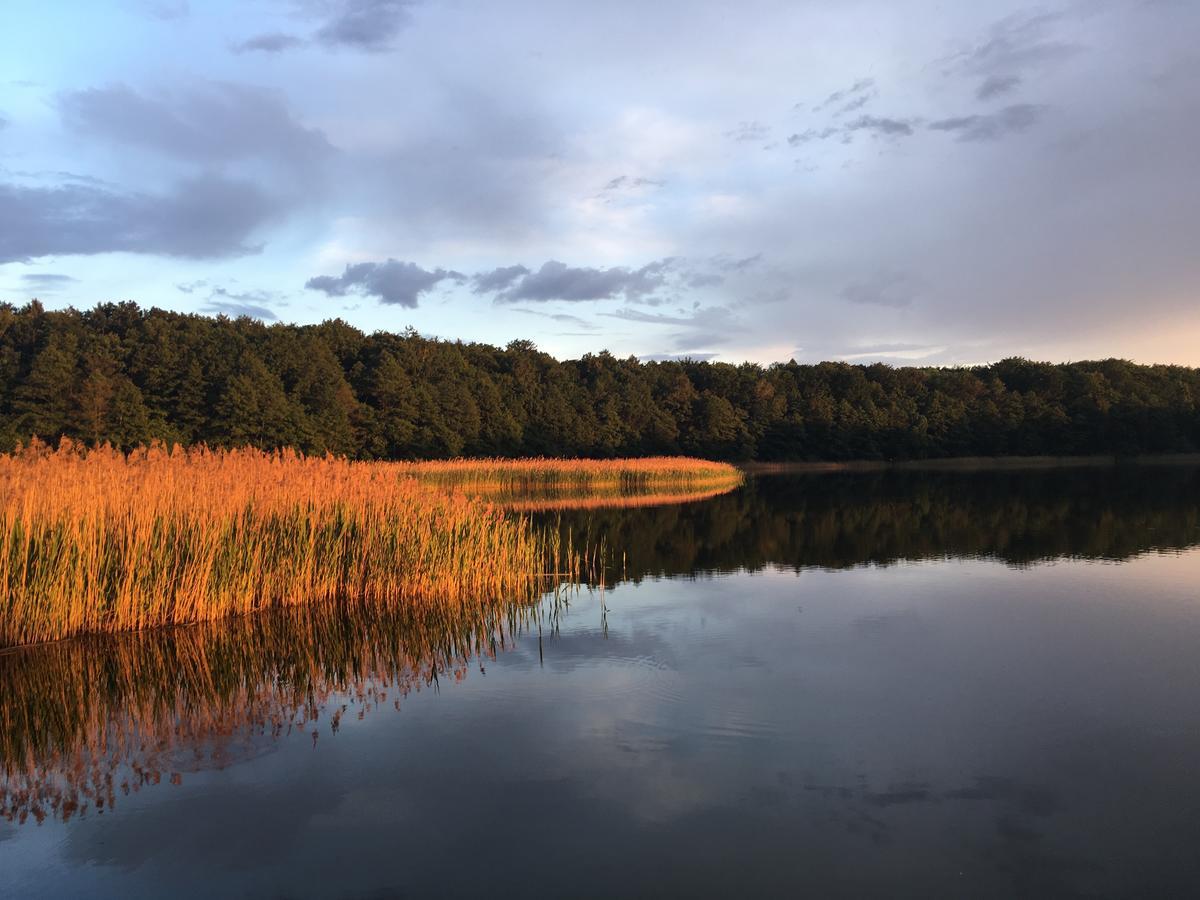 Stajnia Sarnowek Nad Jeziorem Rozany Rozajny Wielkie エクステリア 写真